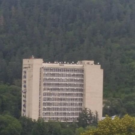 Mtis Kheoba Lägenhet Borjomi Exteriör bild